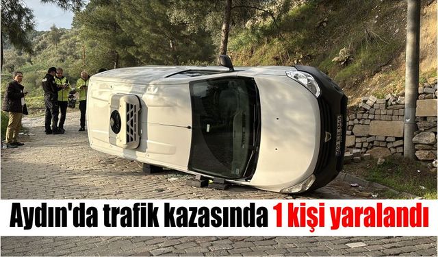 Aydın'da trafik kazasında 1 kişi yaralandı