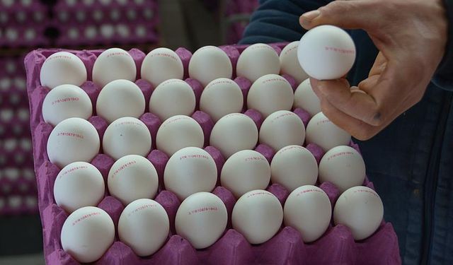 Yumurtayı sakın böyle yemeyin: Uzmanlar uyardı