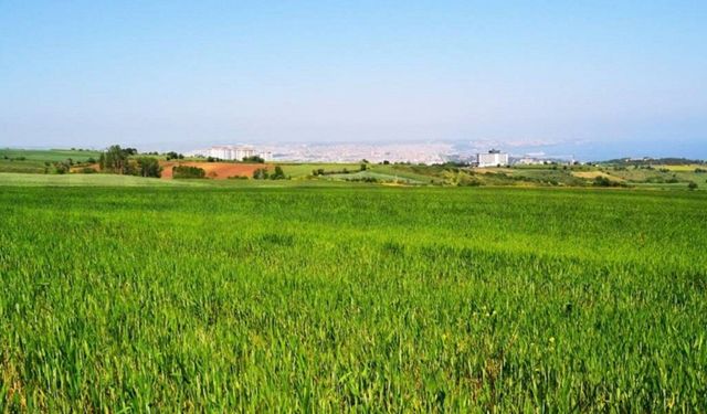 Kayseri Tomarza’da 3 tarla bu fiyattan satılacak