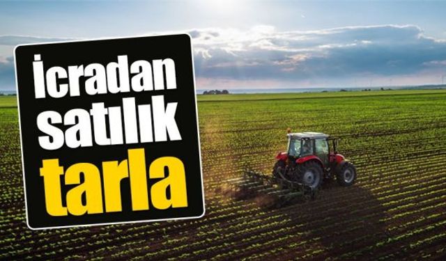 Aydın’da dikkat çeken ilan: 70 dönüm tarla icradan satışa çıkıyor