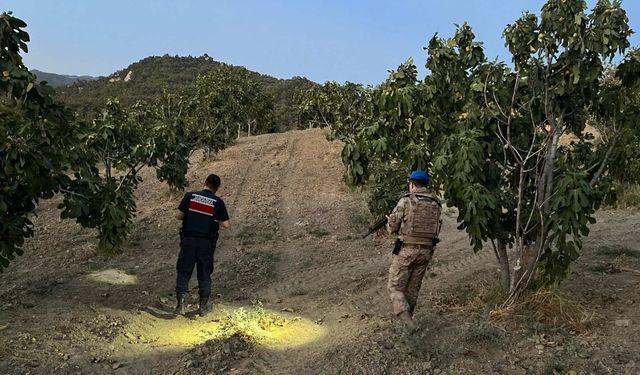 İncirliova’da jandarmadan incir nöbeti