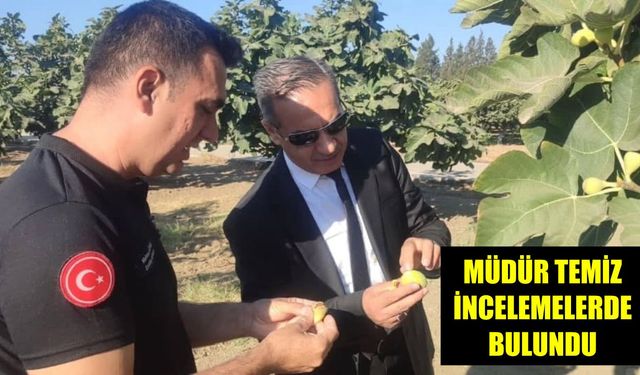 Aydın Tarım ve Orman İl Müdürü Temiz, İncirliova’da incelemelerde bulundu