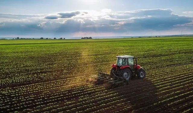 Aydın Karacasu’da 4 dönüm tarla satışa sunuldu