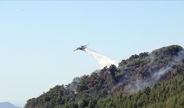 Üç ilde orman yangınlarına müdahale sürüyor