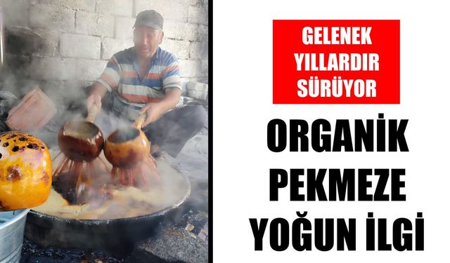 Aydın Koçarlı’da pekmez ocakları tütmeye başladı