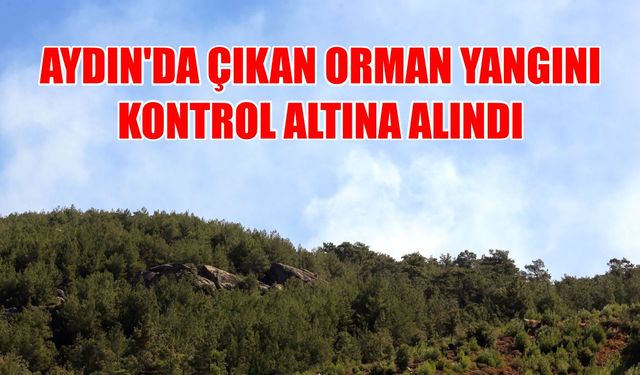 Aydın Çine'de çıkan orman yangını kontrol altına alındı