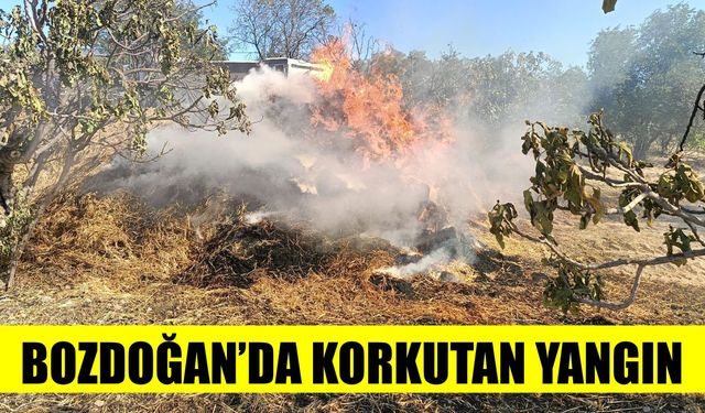 Bozdoğan’da korkutan saman yangını