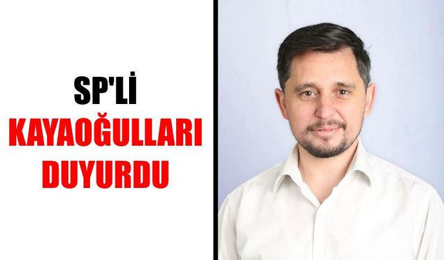 Bozdoğan'daki RES'e bilirkişi engeli