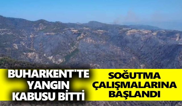 Buharkent'te yangın kabusu bitti