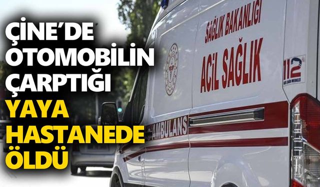 Çine’de otomobilin çarptığı yaya hastanede öldü