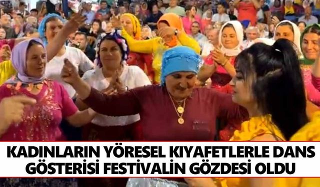 Karacasu'da 3. Elma Festivali renkli görüntülerle tamamlandı