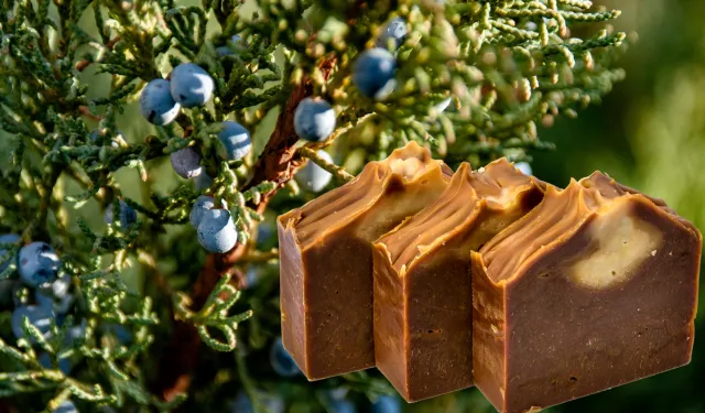 Aydınlıların Asırlık Sırrı Yıkıldı: Sağlıklısı Meğer Zeytinyağlı Değilmiş!