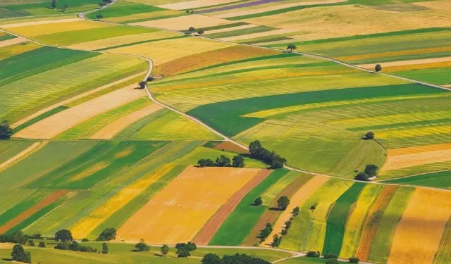 Aydın’da kaçırılmayacak fiyata taşınmaz: Kırsal alandaki yeri mahkeme satıyor