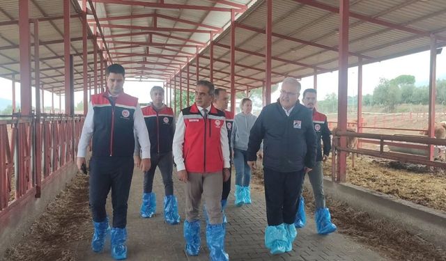 Aydın’da hayvancılığa değer katan buluşma