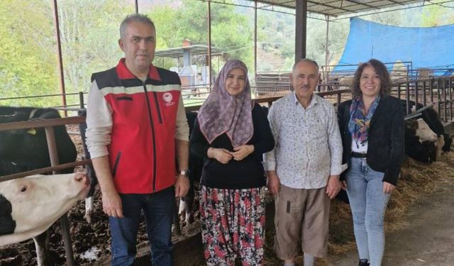 Efeler’de kadın çiftçiden başarılı girişim: 25 büyükbaş hayvana ulaştı