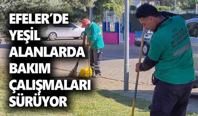 Efeler’de yeşil alanlarda bakım çalışmaları sürüyor