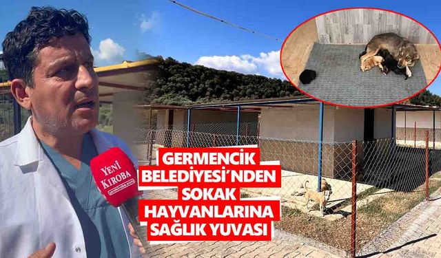 Germencik Belediyesi’nden sokak hayvanlarına sağlık yuvası