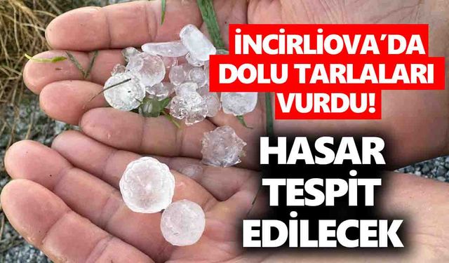 İncirliova’da dolu tarlaları vurdu!