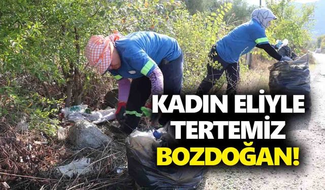 Kadın eliyle tertemiz Bozdoğan!