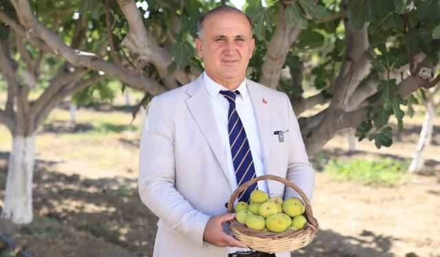 Başkan Kaya: “Cennet meyvemiz incirin kalitesine büyük katkı sağlanıyor”