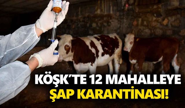 Köşk’te 12 mahalleye şap karantinası!