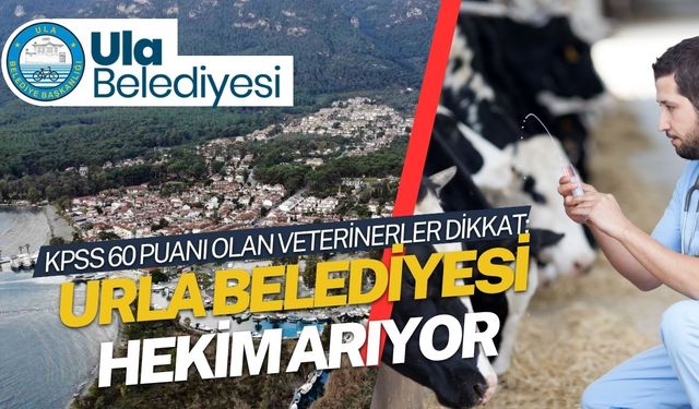 KPSS 60 Puanı Olan Veterinerler Dikkat: Ula Belediyesi Hekim Arıyor
