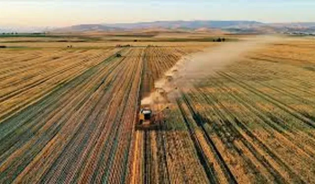 Aydın’da dikkat çeken satış: 26 dönümlük tarım arazisi mahkemeden açık artırmada