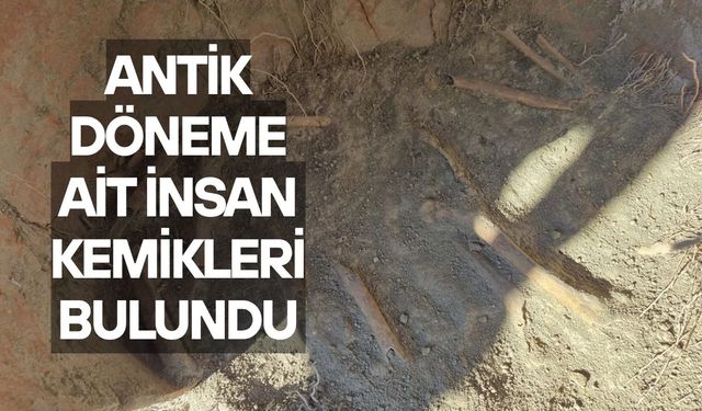 Antik döneme ait insan kemikleri bulundu