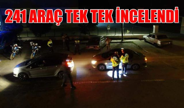 Aydın’da 241 araç tek tek incelendi