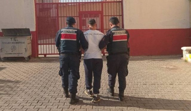 Aydın’da jandarmadan başarılı operasyon