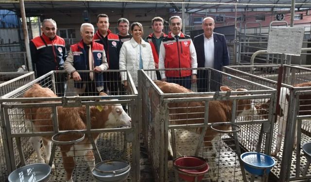 Aydın’da modern üretim tesisine inceleme