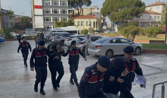 Aydın’da zeytin hırsızlığı operasyonu: 2 kişi tutuklandı