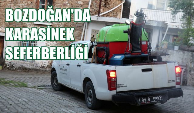 Bozdoğan'da karasinek seferberliği