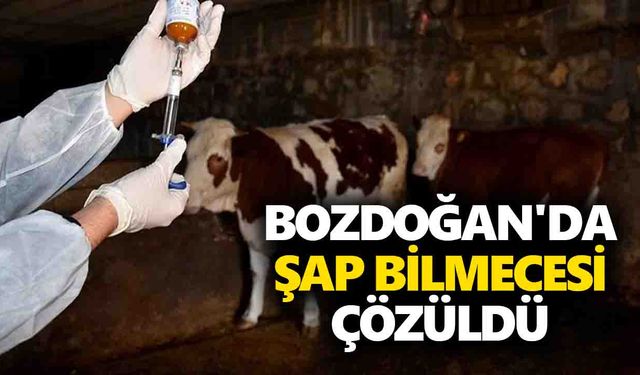 Bozdoğan'da şap bilmecesi çözüldü