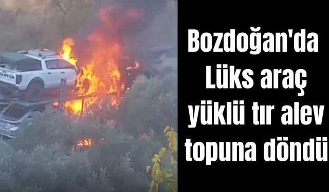 Bozdoğan'da yangın: Lüks araç yüklü tır alev topuna döndü