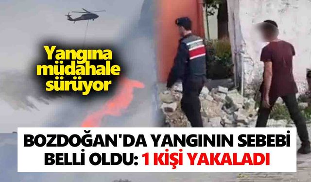 Bozdoğan'da yangının sebebi belli oldu