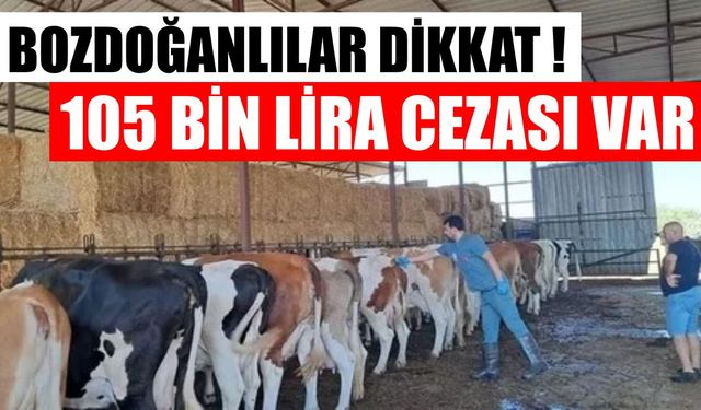Bozdoğanlılar dikkat: 105 bin lira cezası var