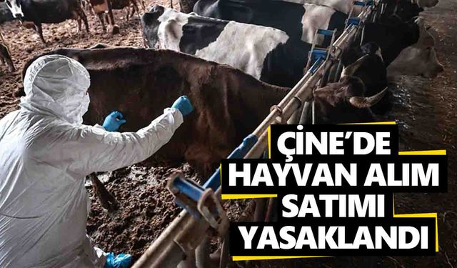 Çine’de hayvan alım satımı yasaklandı