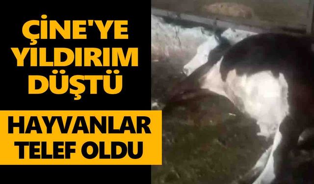 Çine'ye yıldırım düştü