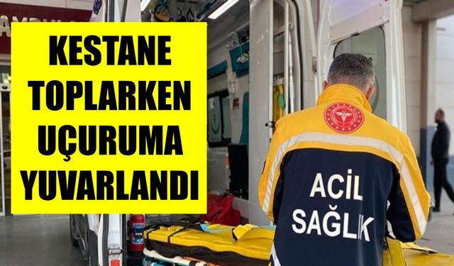 Kestane toplarken uçuruma yuvarlandı