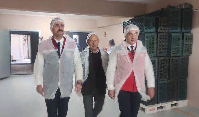 Köşk’te kuru incir, zeytin ve zeytinyağı tesisine ziyaret