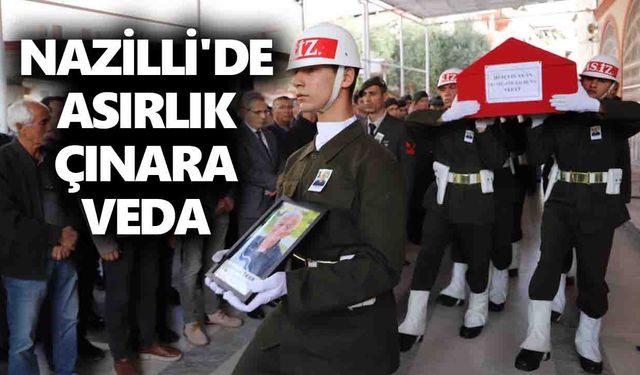 Nazilli'de asırlık çınara veda
