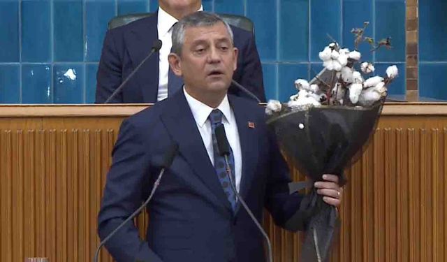 Pamuk üreticileri CHP Grubu’nda