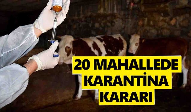 Şap tehdidi Bozdoğan'a sıçradı