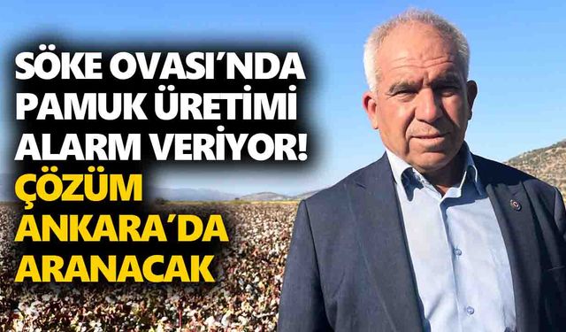 Söke Ovası’nda pamuk üretimi alarm veriyor! Çözüm Ankara’da aranacak
