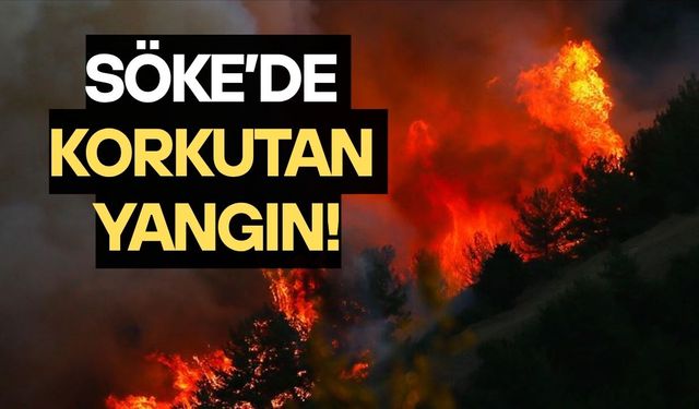 Söke'de korkutan yangın!