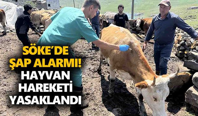 Söke’de şap alarmı! Hayvan hareketi yasaklandı