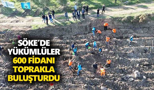 Söke’de yükümlüler 600 fidanı toprakla buluşturdu