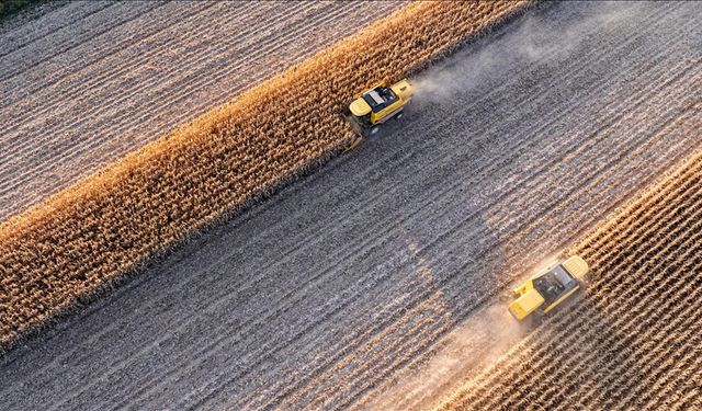 Tarımda maliyet alarmı