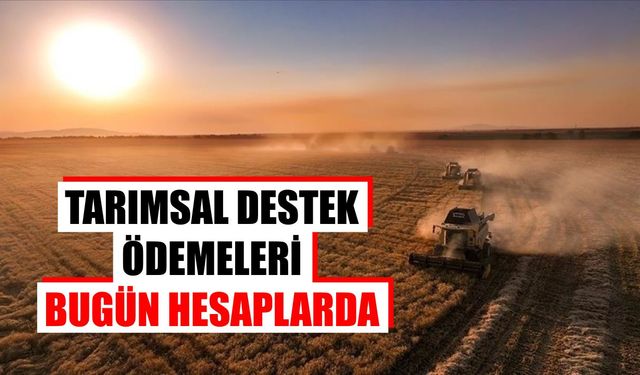 Dikkat! Tarımsal destek ödemeleri bugün başlıyor
